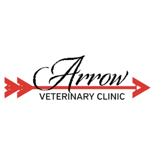 Arrow Vet Clinic Icon