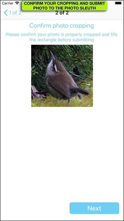 iBird Photo Sleuth screenshot-4