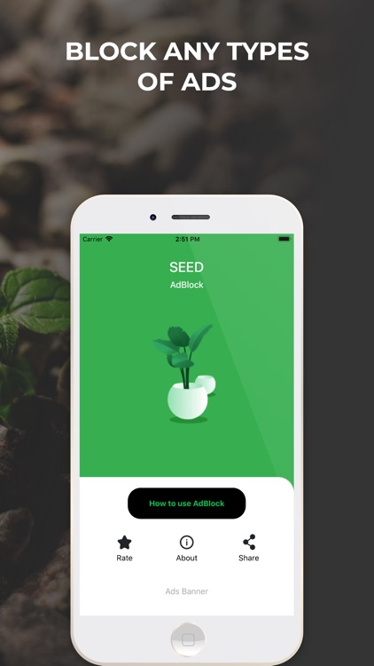 Seed AdBlock: Fast Block