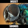 Get Insect Sounds for iOS, iPhone, iPad Aso Report