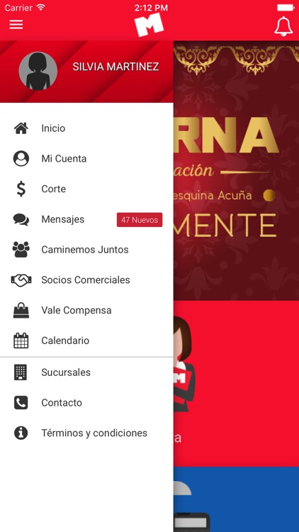 Distribuidores Moderna screenshot-4