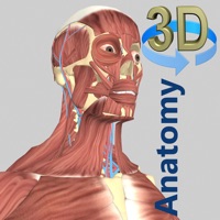 3D Anatomy ne fonctionne pas? problème ou bug?