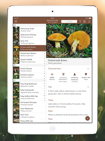 Mushroom LITE - Field Guide screenshot 3