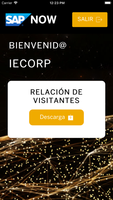 SAP NOW Perú - Ejecutivos screenshot 3