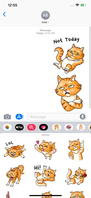 Striped Cat Sticker Pack(圖3)-速報App