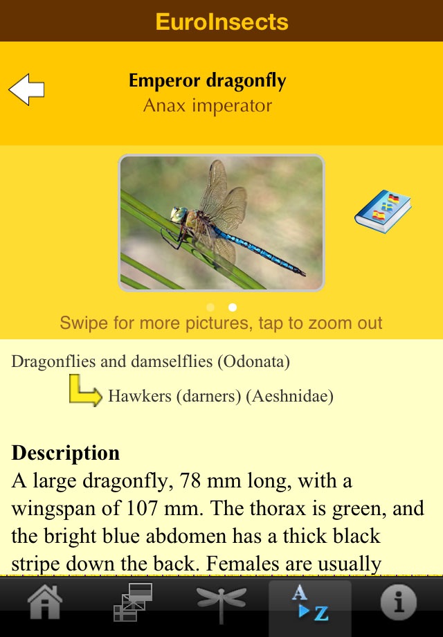 EuroInsects screenshot 4