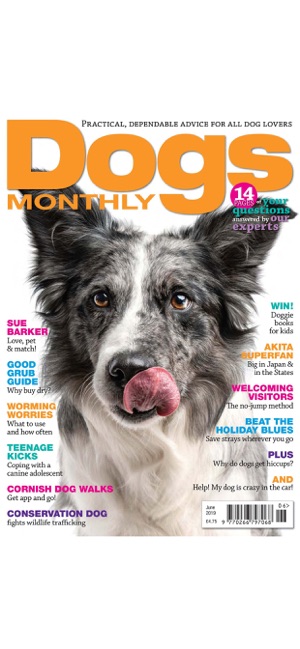 Dogs Monthly Magazine