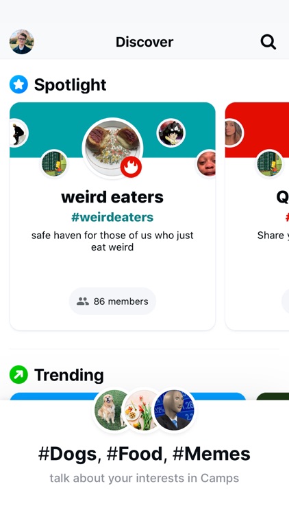 Bonfire: Groups and News