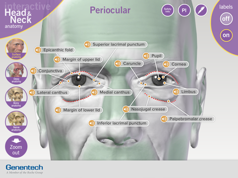 3D Facial Anatomy Tool screenshot 4