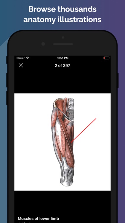 Easy Anatomy - Atlas & Quizzes screenshot-4