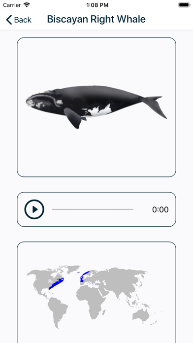 SCS - Swiss Cetacean Society screenshot 4