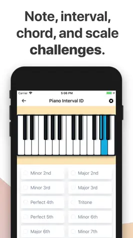 Game screenshot Semitone - Music Education hack