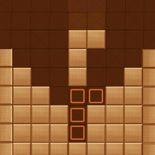 Wood Block Puzzle Box Icon