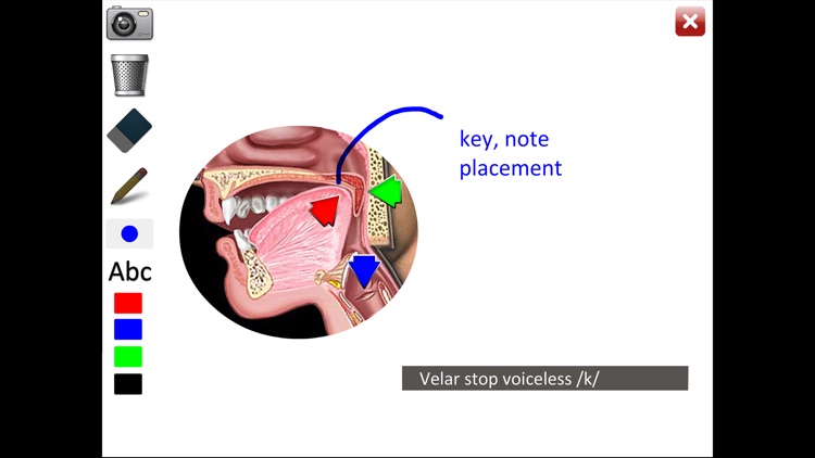 Affricates Stops screenshot-4