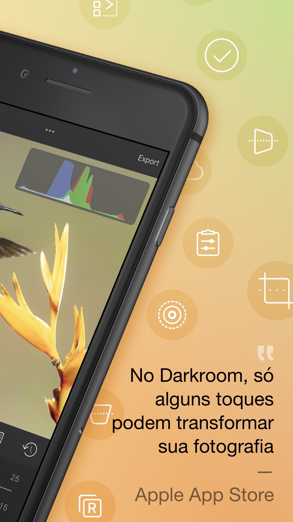 Screenshot do app Darkroom – Photo Editor