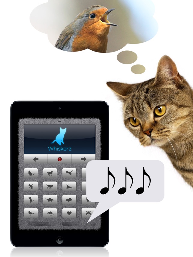 Human To Cat Translator On The App Store - cute kitty cats 5 hd screensavers roblox