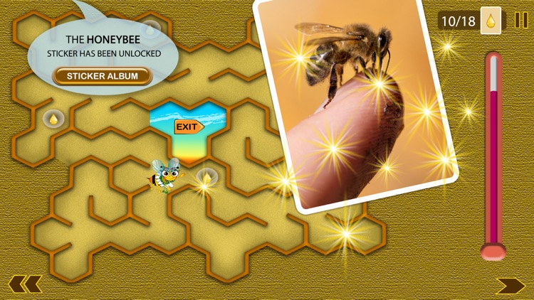 Honey Tina and Bees - Full screenshot-3