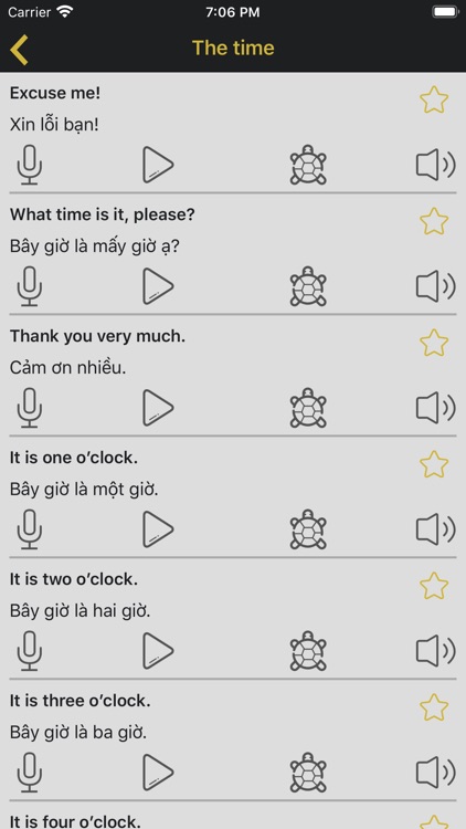 Audio Vietnamese screenshot-8