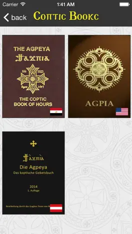 Game screenshot Coptic Books hack