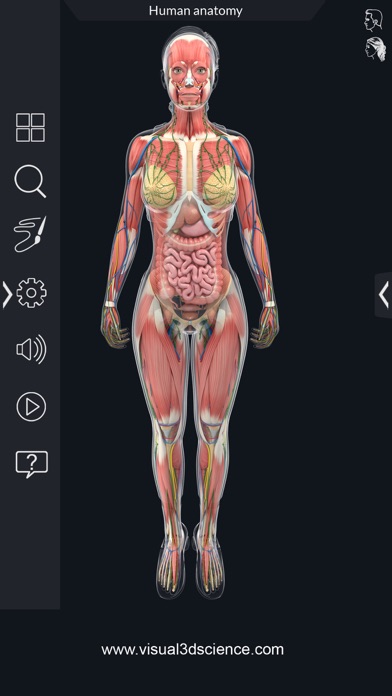 AR Human Anatomy screenshot 4