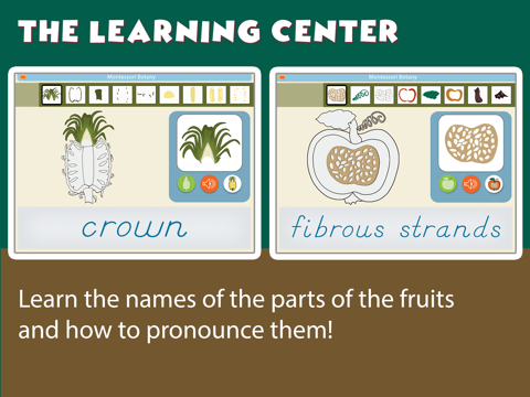 Montessori Parts of Fruits screenshot 2