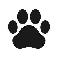Husky - Pedometer for Watch pour PC