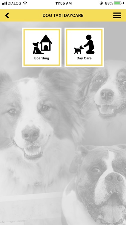 Dog Taxi Daycare App screenshot-6