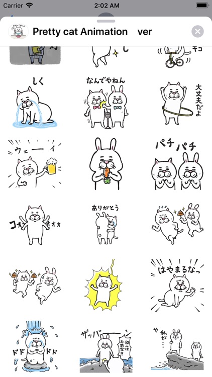 Pretty cat Animation ver