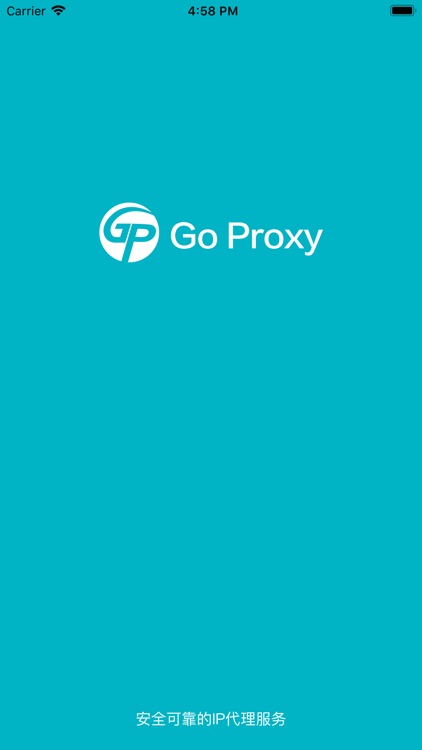 go proxy