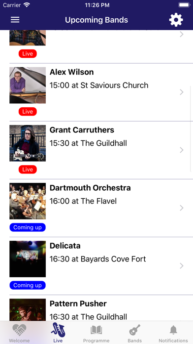 Dart Music Festival screenshot 2