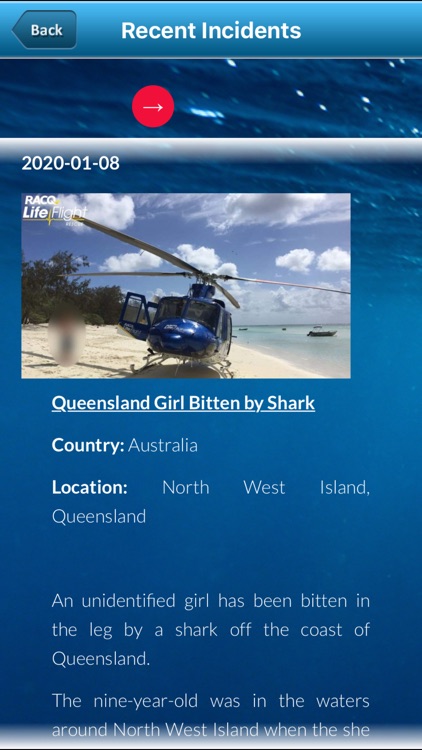 Shark Bytes screenshot-4