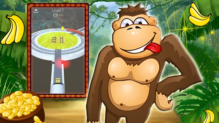 Crazy Monkey Rood Park