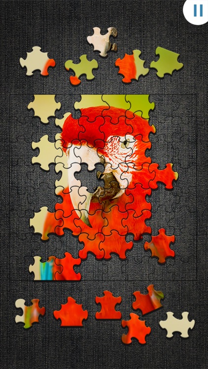 Jigty Jigsaw Puzzles screenshot-4