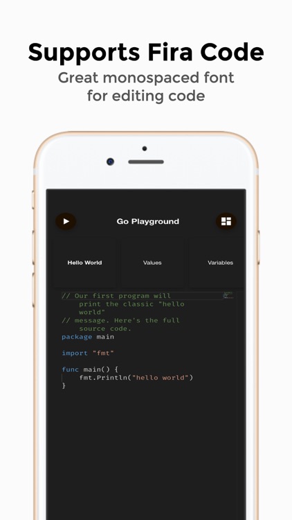 Go Playground screenshot-3