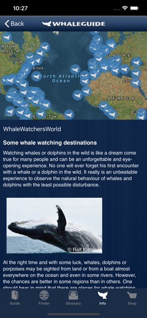 WhaleGuide for iPhone(圖3)-速報App