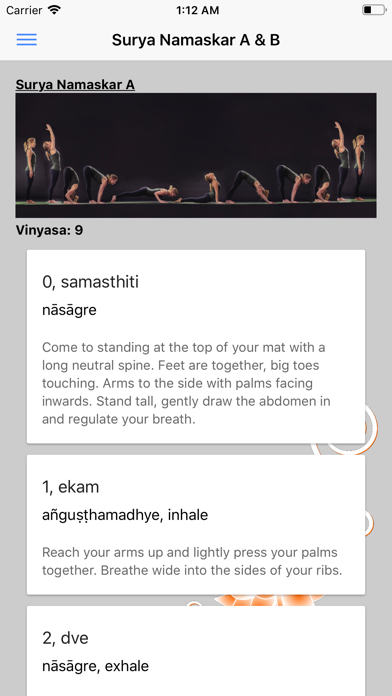 Ashtanga Yoga Primary Series screenshot 2