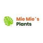 MieMies Plant