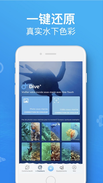 Dive+:全球潜水社区