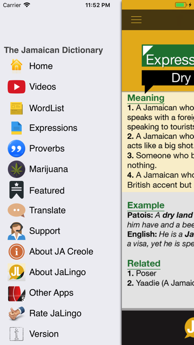 How to cancel & delete Jamaican Dictionary - JaLingo from iphone & ipad 1