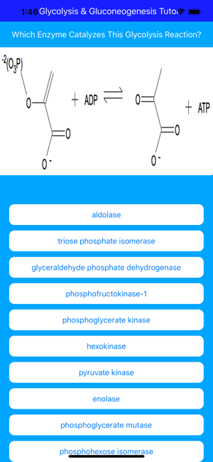 Glycolysis Glucogenesis Tutor(圖2)-速報App