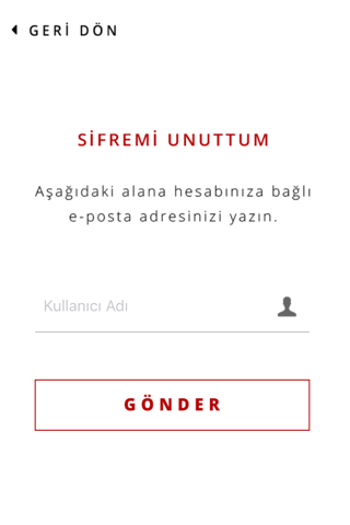 Mentor Gümrük Müşavirliği screenshot 2