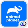 Animal Planet animal planet shows 