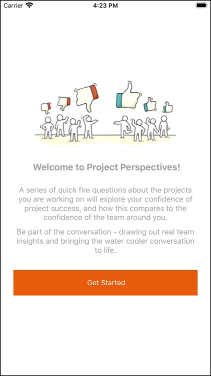 Project Perspectives