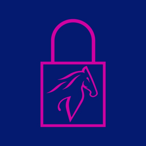 Vista Etoken By Vista Bank Romania Sa