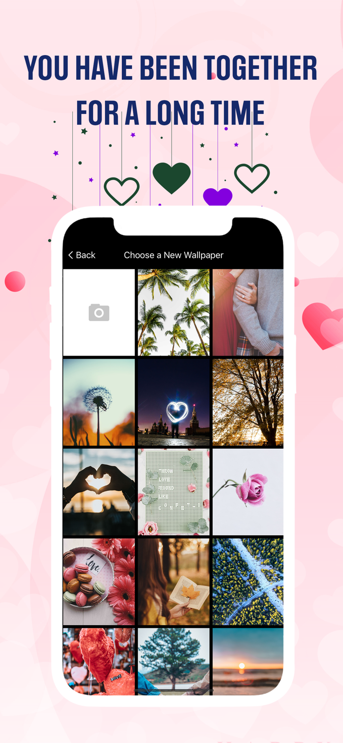 TikLove Followers  Likes