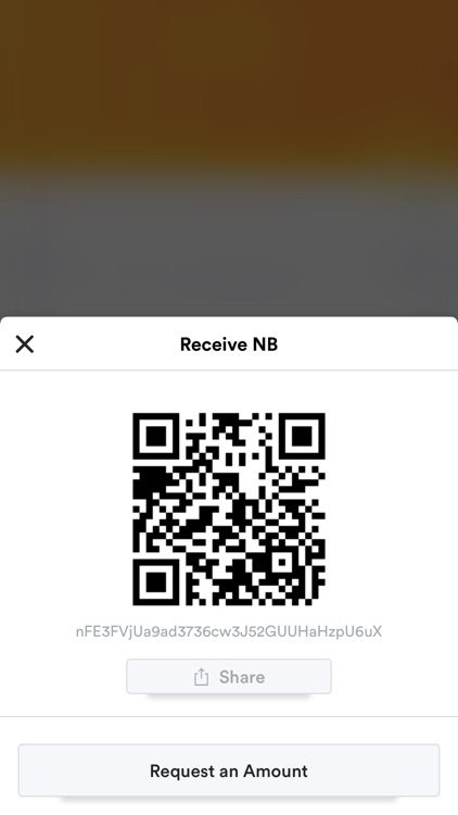 NexBillCoinWallet screenshot-4