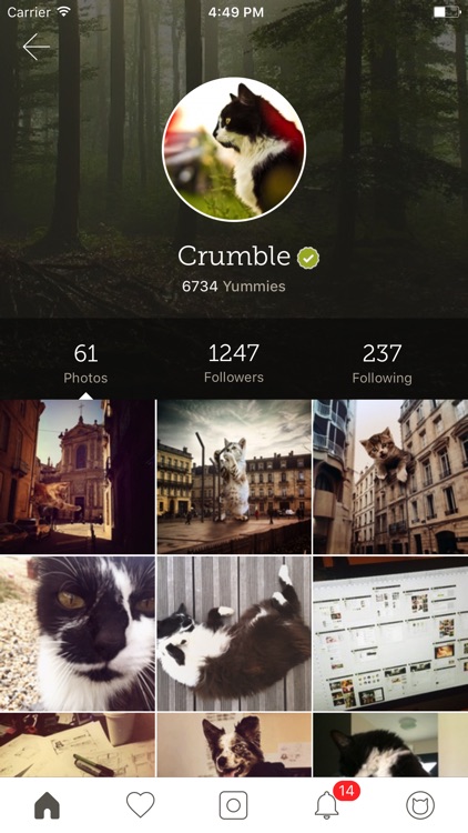 Yummypets - Pets