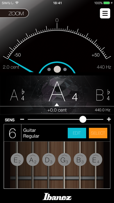 How to cancel & delete IbanezTuner from iphone & ipad 1