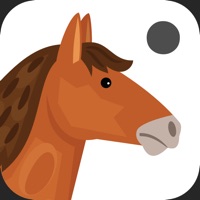 Jeu animal et ombre pour PC