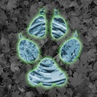 Top 19 Reference Apps Like Critter Trax - Animal Tracks - Best Alternatives